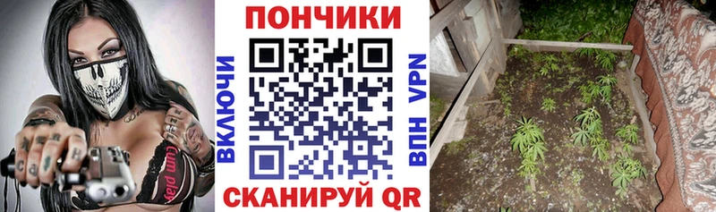 купить  сайты  нарко площадка Telegram  МАРИХУАНА конопля  Чапаевск 